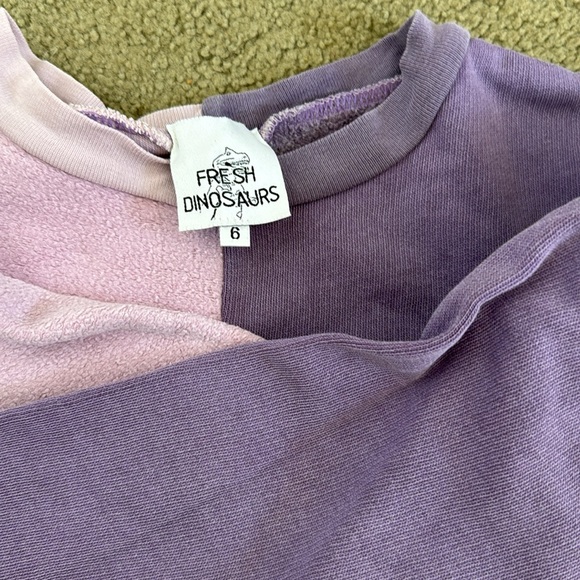 Fresh dinosaurs two tone sweatshirt - Picture 4 of 4